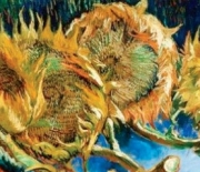 Van Gogh exhibition left me breathless